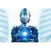 Sex with robots to be 'the norm' in 50 years, expert claims