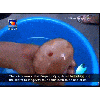 China TV news confuses Fleshlight sex toy for rare edible mushroom